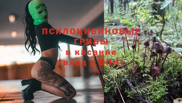 прущие крисы Володарск