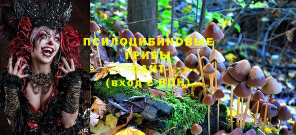 прущие крисы Володарск